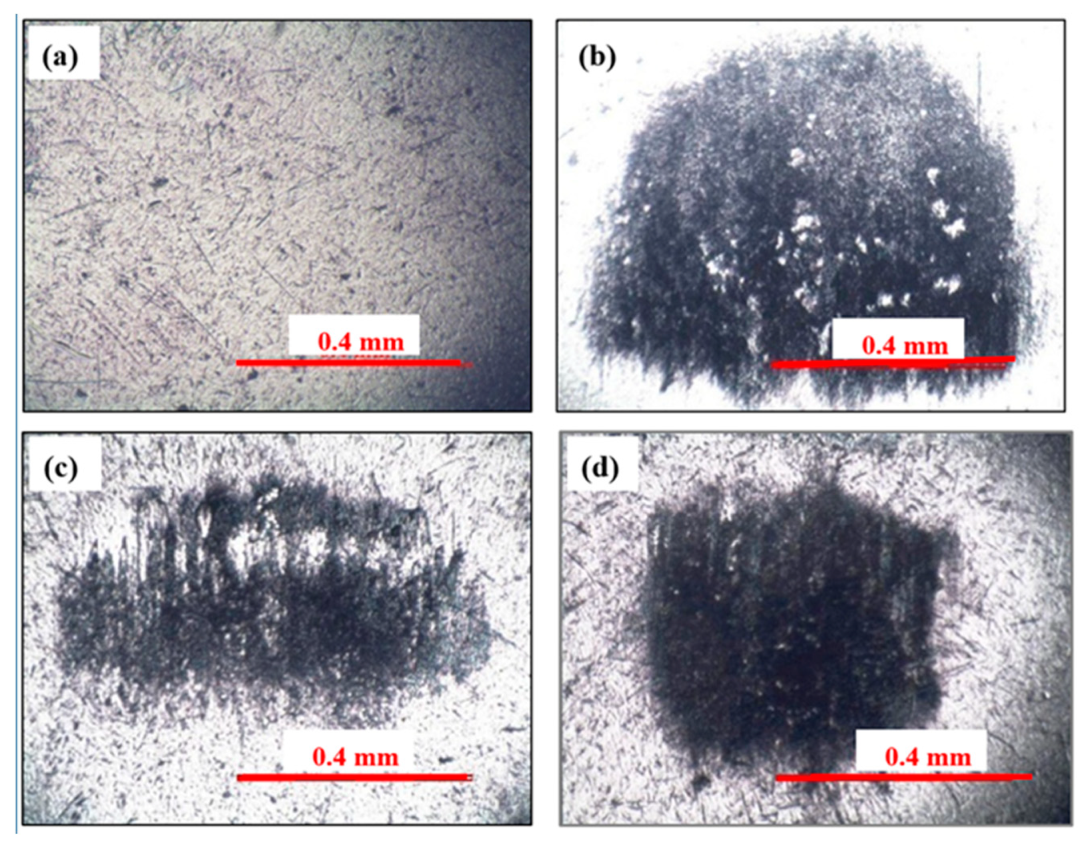 Nanomaterials 11 01438 g011