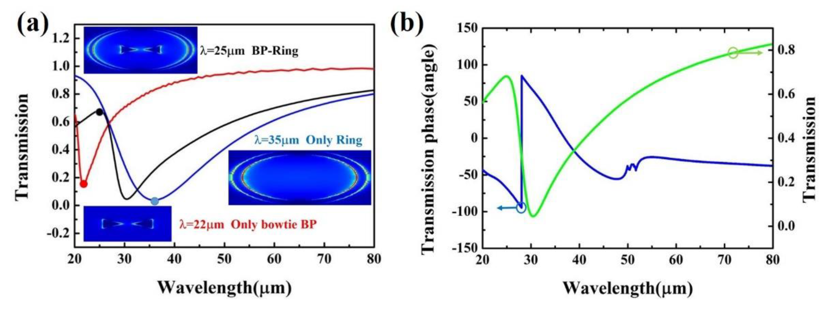 Nanomaterials 11 01442 g002