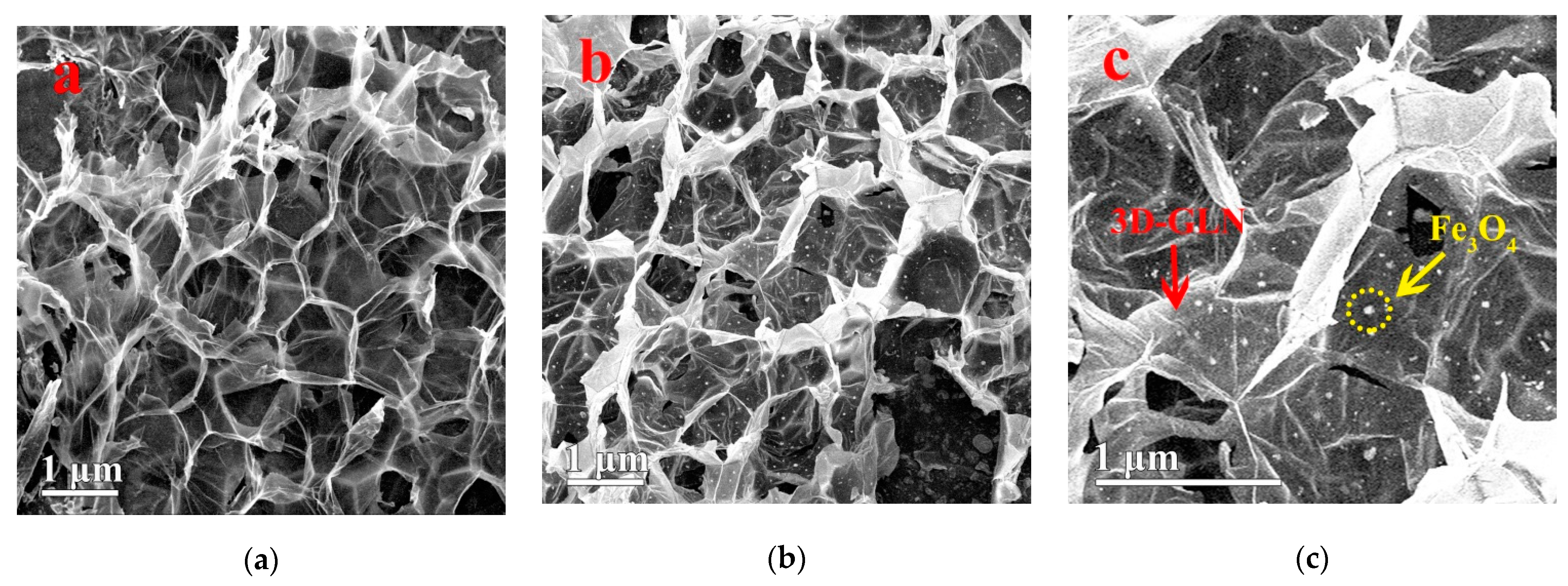 Nanomaterials 11 01444 g002