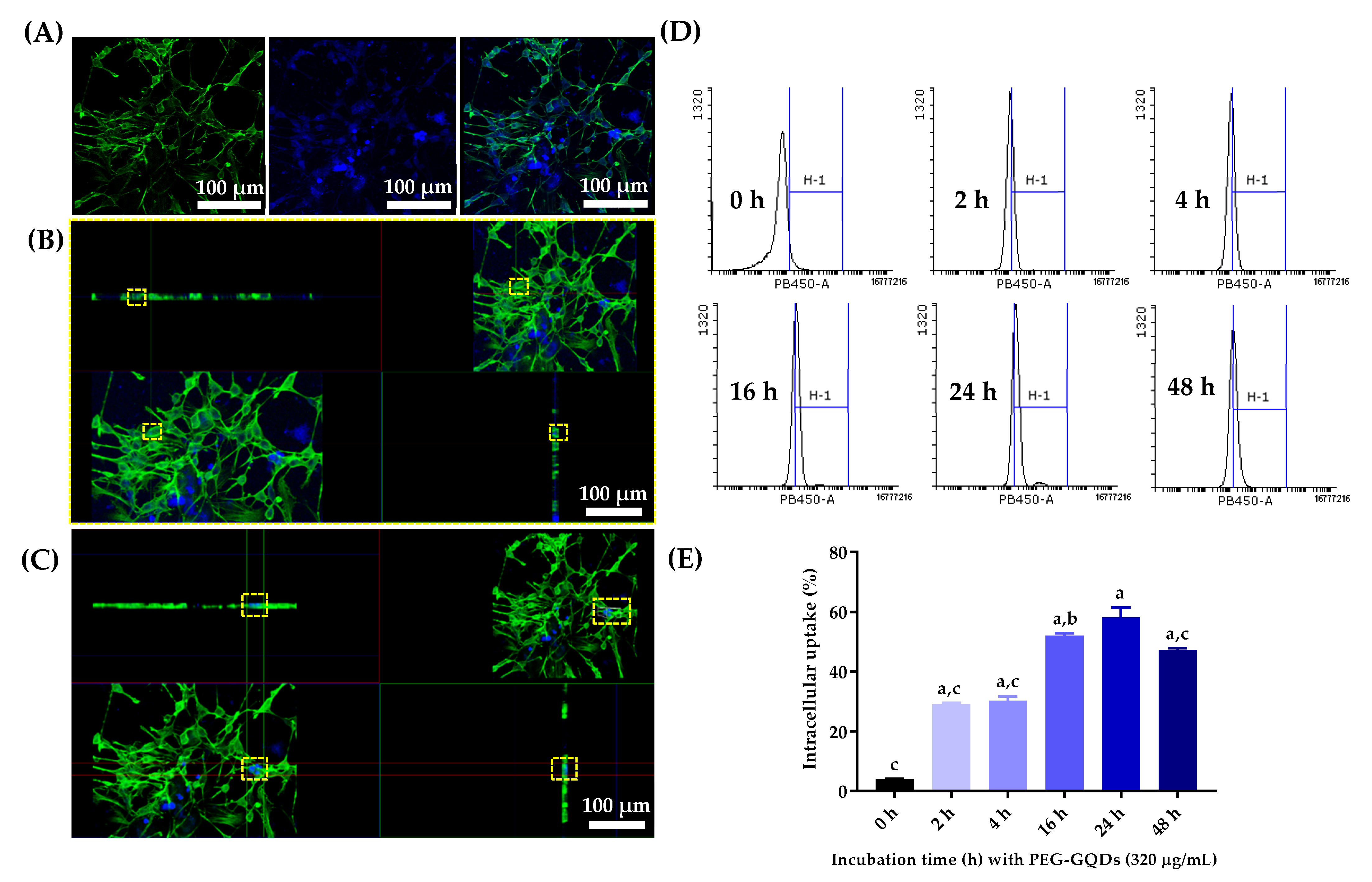 Nanomaterials 11 01446 g004 Nanomaterials 11 01446 g004