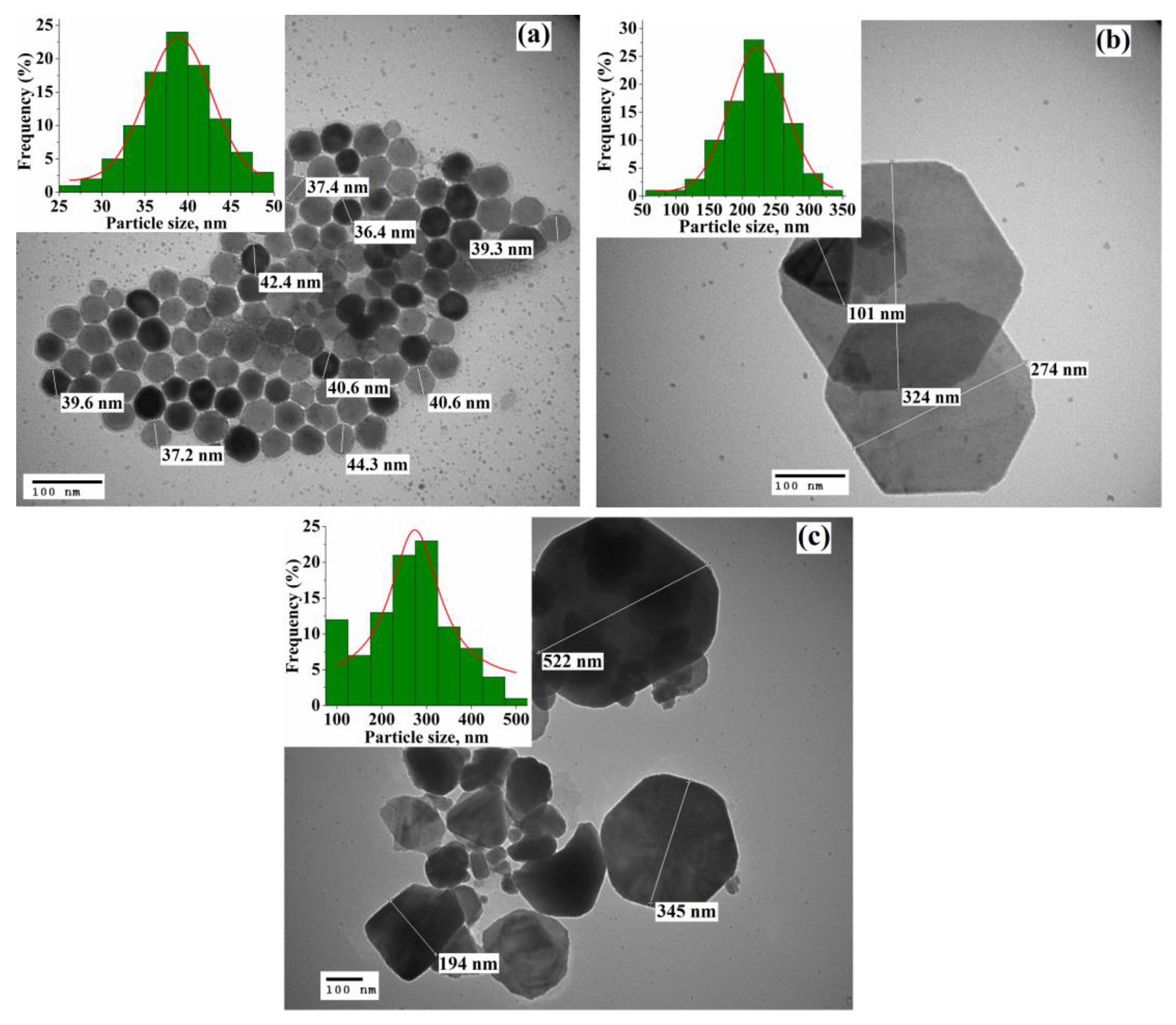 Nanomaterials 11 01447 g002