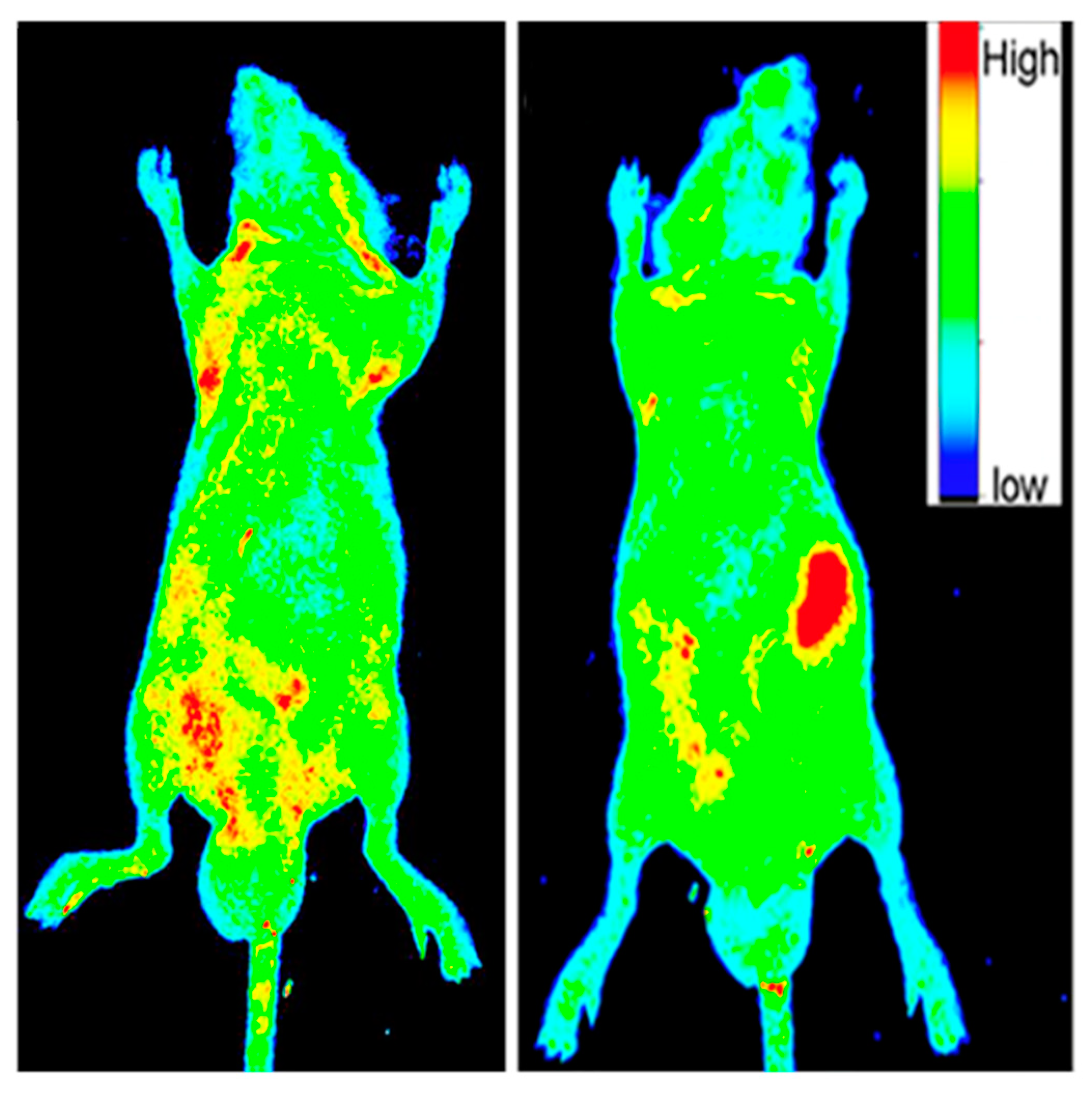 Nanomaterials 11 01448 g004