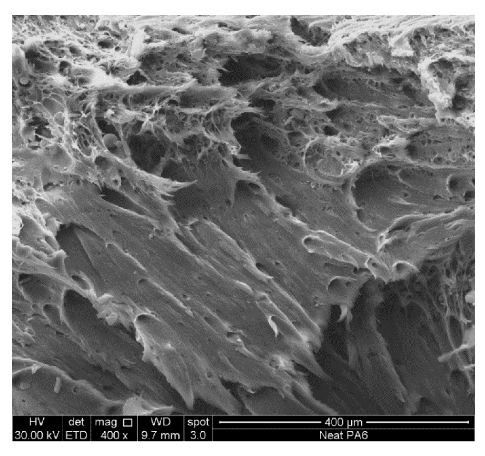 Nanomaterials 11 01454 g005