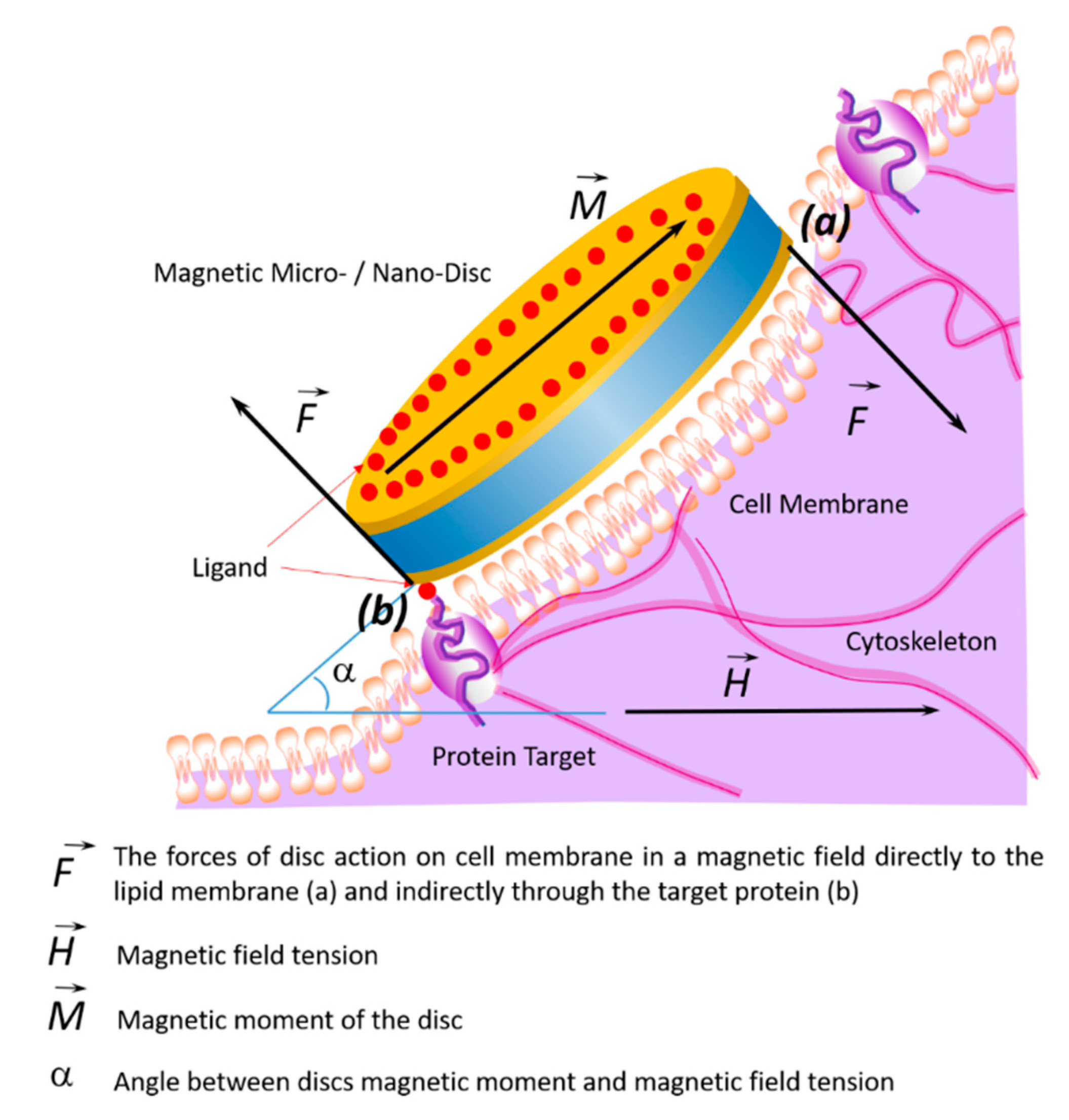 Nanomaterials 11 01459 g004