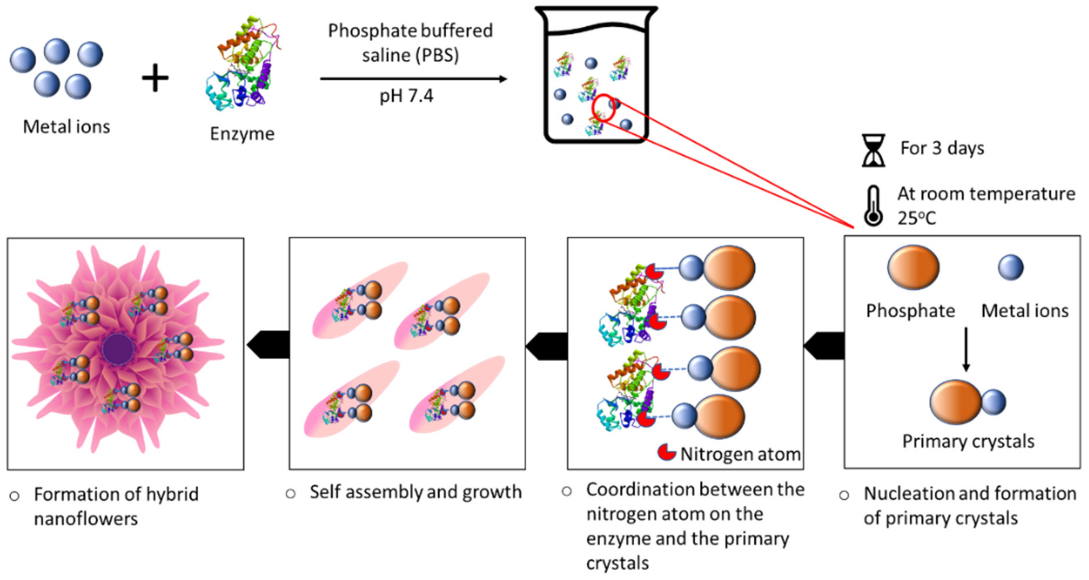 Nanomaterials 11 01460 g001