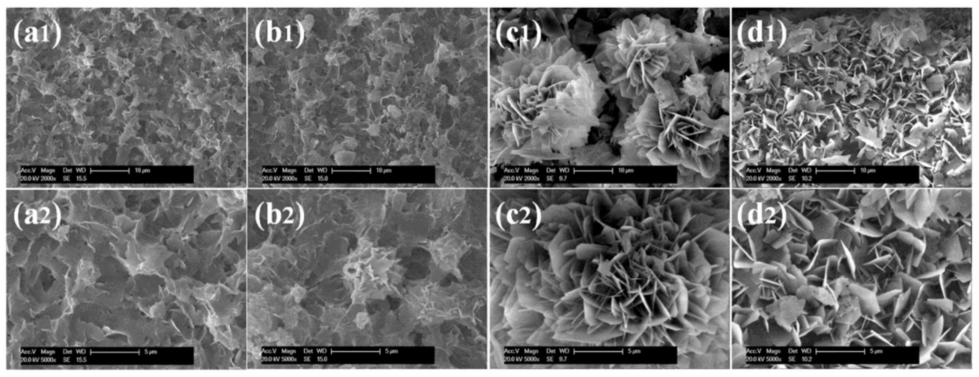 Nanomaterials 11 01460 g004