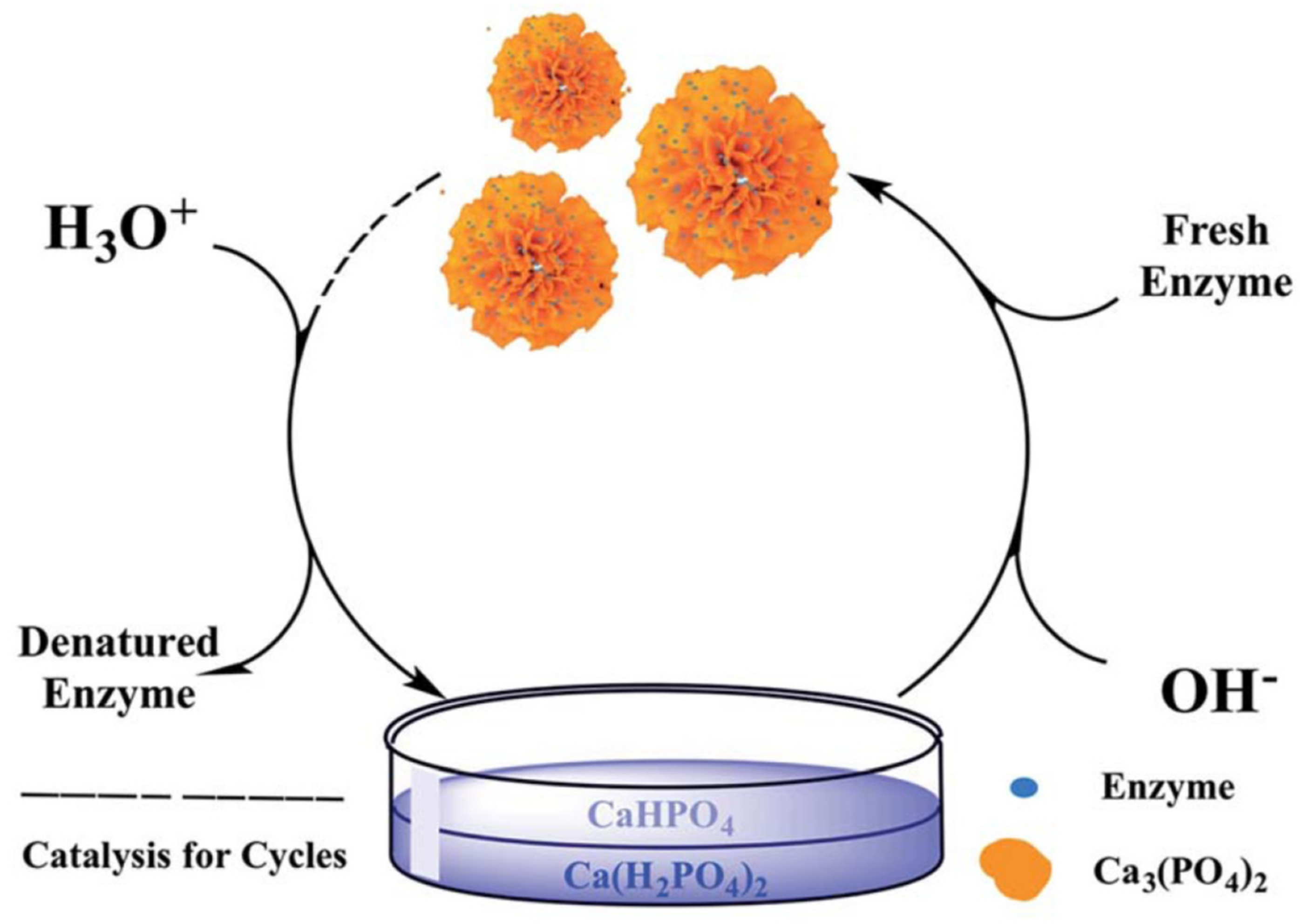 Nanomaterials 11 01460 g007