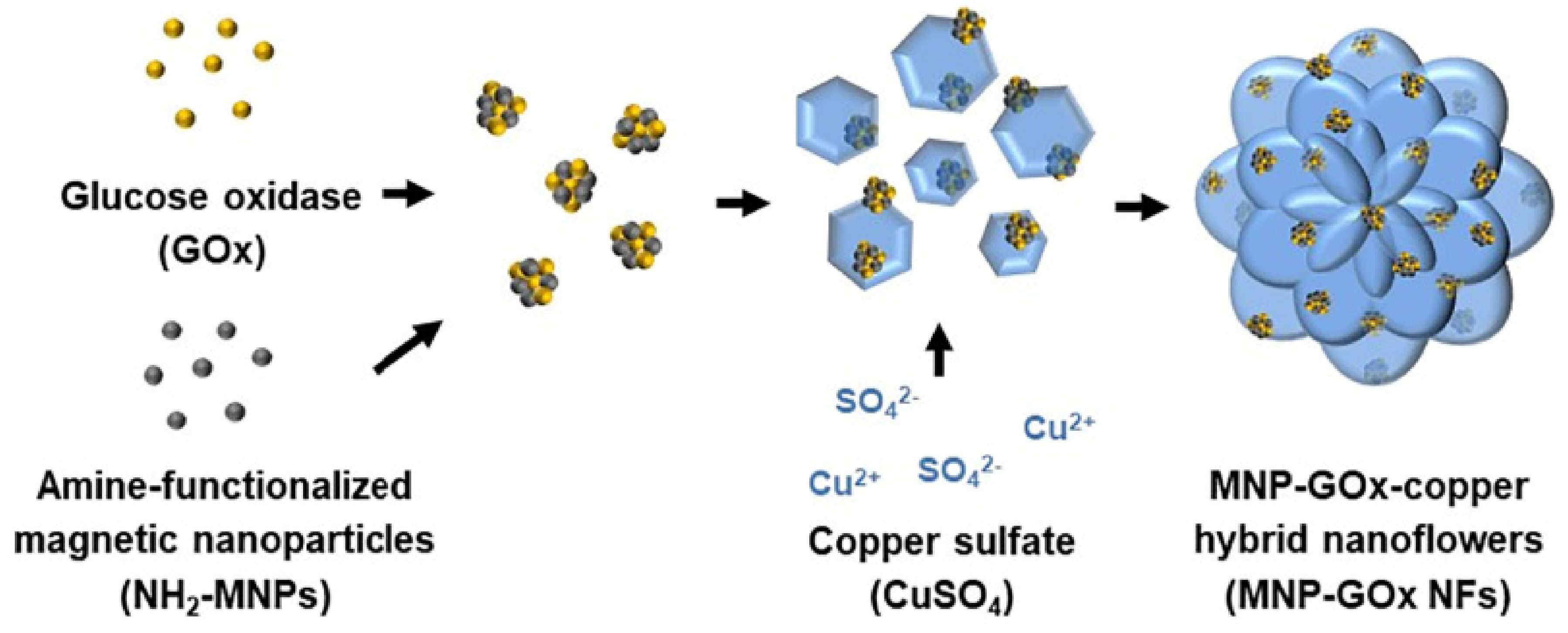 Nanomaterials 11 01460 g009