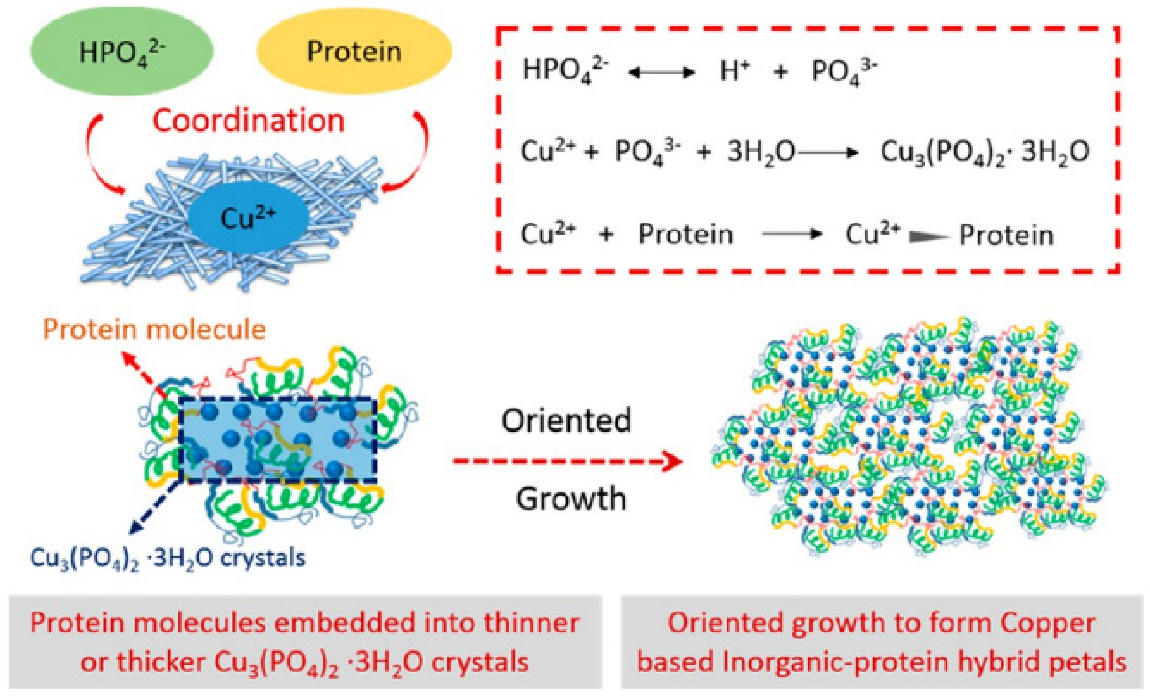 Nanomaterials 11 01460 g010