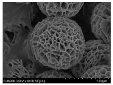 Nanomaterials 11 01460 i002