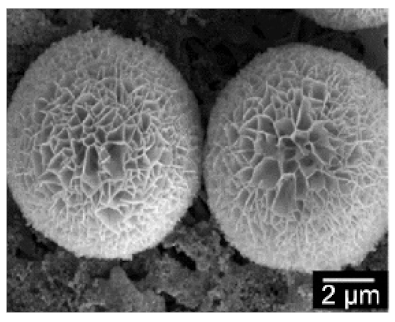 Nanomaterials 11 01460 i003