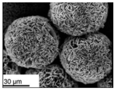 Nanomaterials 11 01460 i004