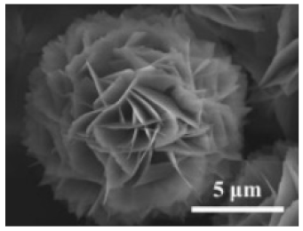 Nanomaterials 11 01460 i007