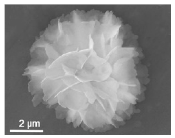 Nanomaterials 11 01460 i008