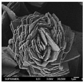 Nanomaterials 11 01460 i010