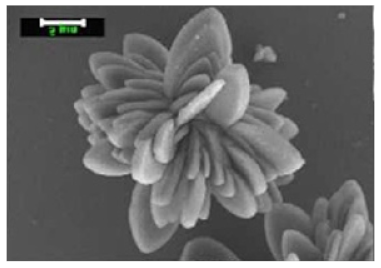 Nanomaterials 11 01460 i011