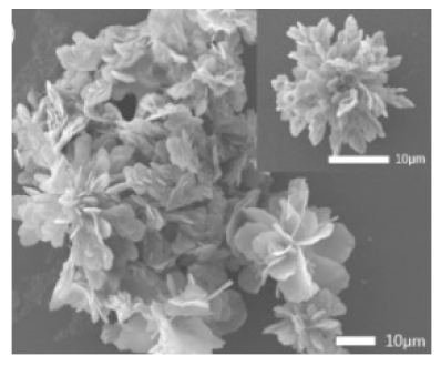 Nanomaterials 11 01460 i015