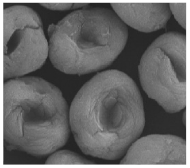 Nanomaterials 11 01460 i016