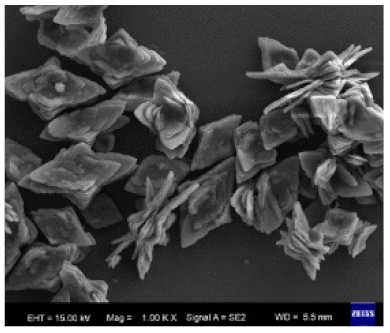 Nanomaterials 11 01460 i017