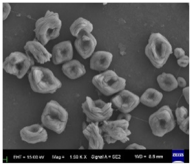 Nanomaterials 11 01460 i018