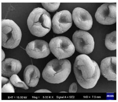 Nanomaterials 11 01460 i019