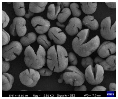 Nanomaterials 11 01460 i020