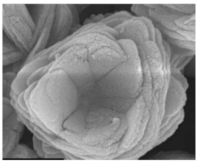 Nanomaterials 11 01460 i022