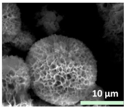 Nanomaterials 11 01460 i025