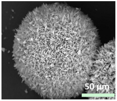 Nanomaterials 11 01460 i027