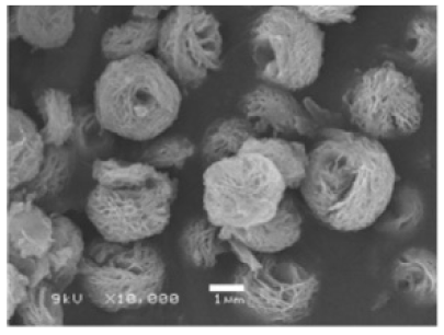 Nanomaterials 11 01460 i031