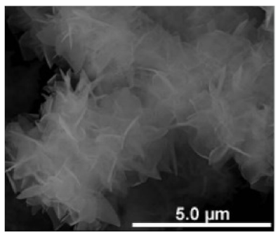 Nanomaterials 11 01460 i032
