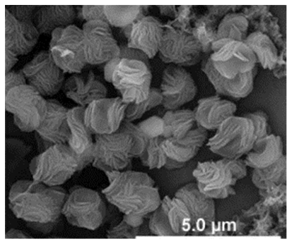 Nanomaterials 11 01460 i033