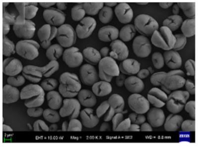 Nanomaterials 11 01460 i036