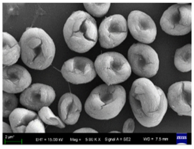 Nanomaterials 11 01460 i037