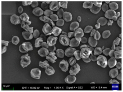 Nanomaterials 11 01460 i038