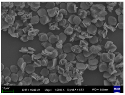 Nanomaterials 11 01460 i039