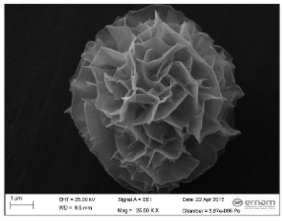 Nanomaterials 11 01460 i040