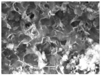 Nanomaterials 11 01460 i042