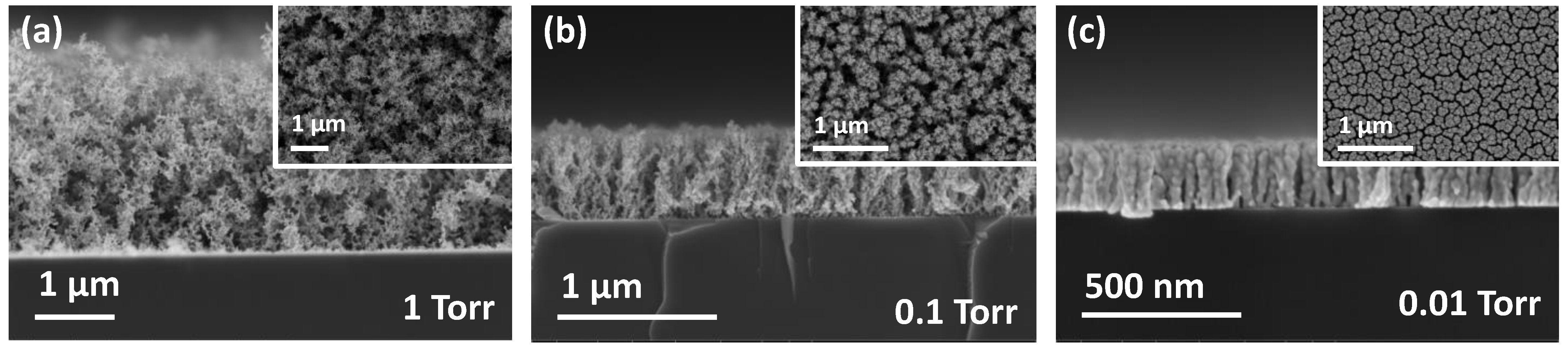 Nanomaterials 11 01463 g001