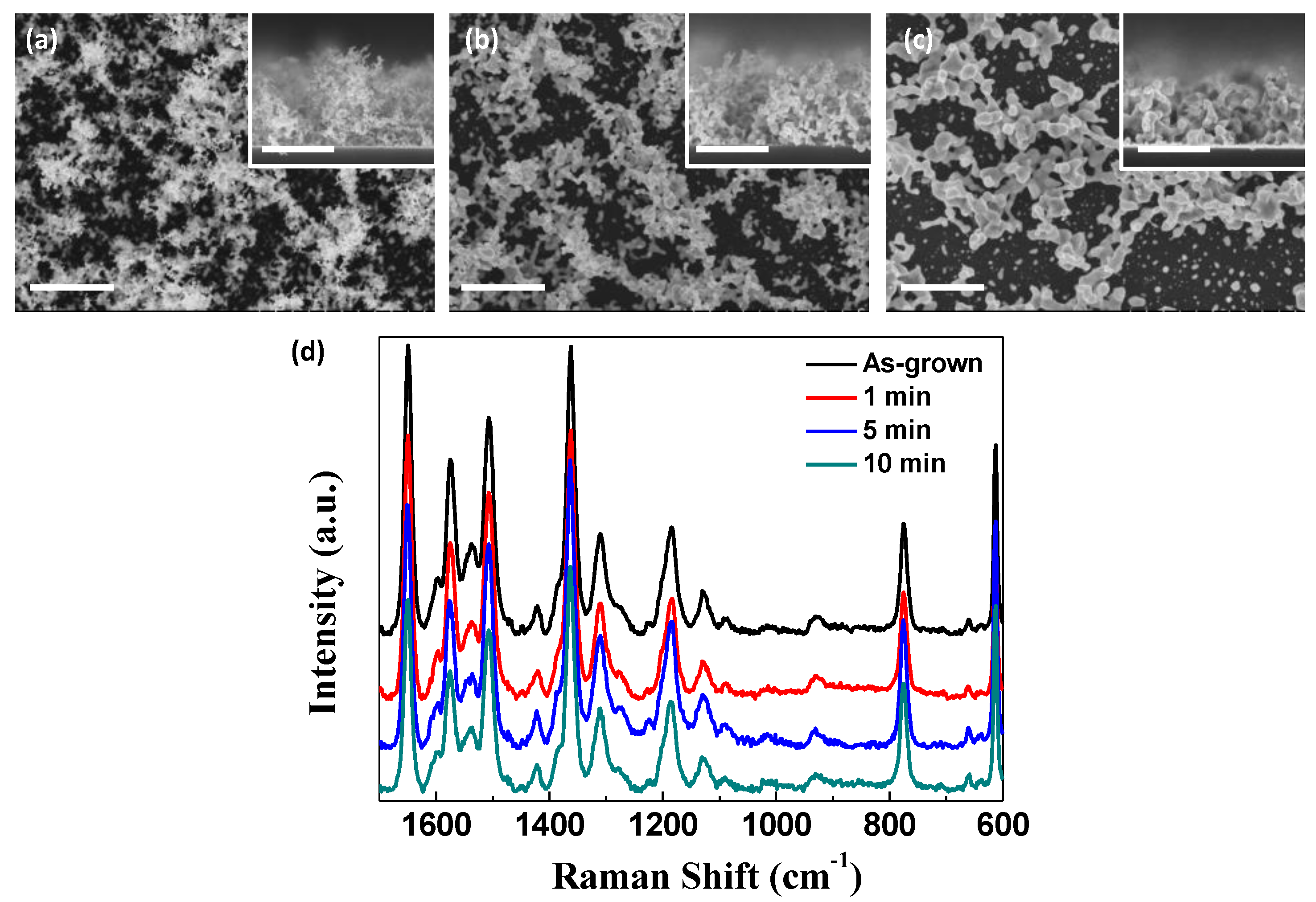 Nanomaterials 11 01463 g005