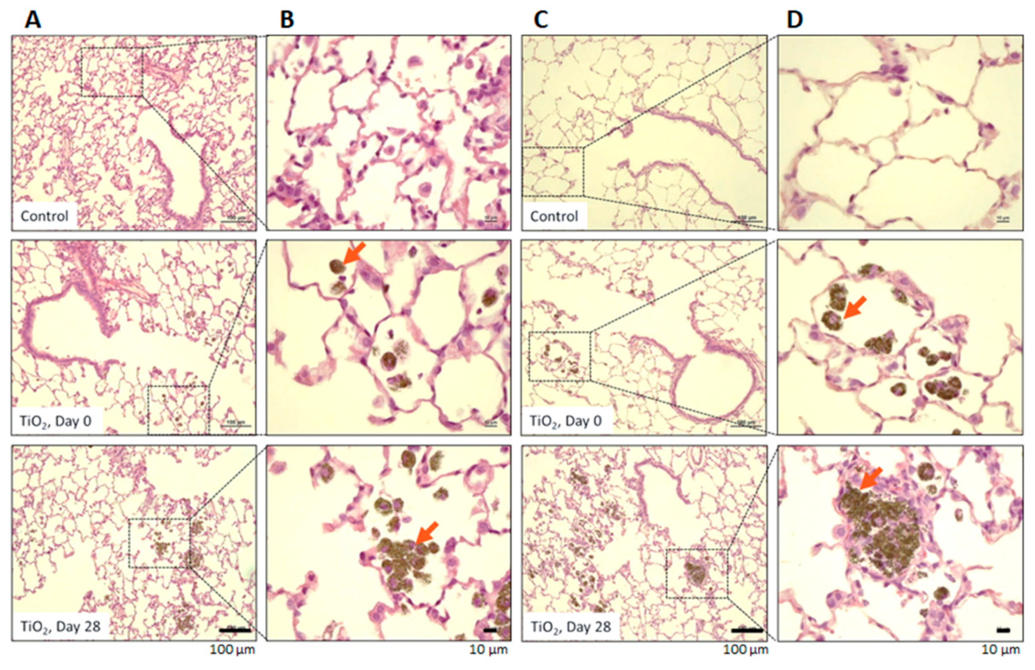 Nanomaterials 11 01466 g002 Nanomaterials 11 01466 g002