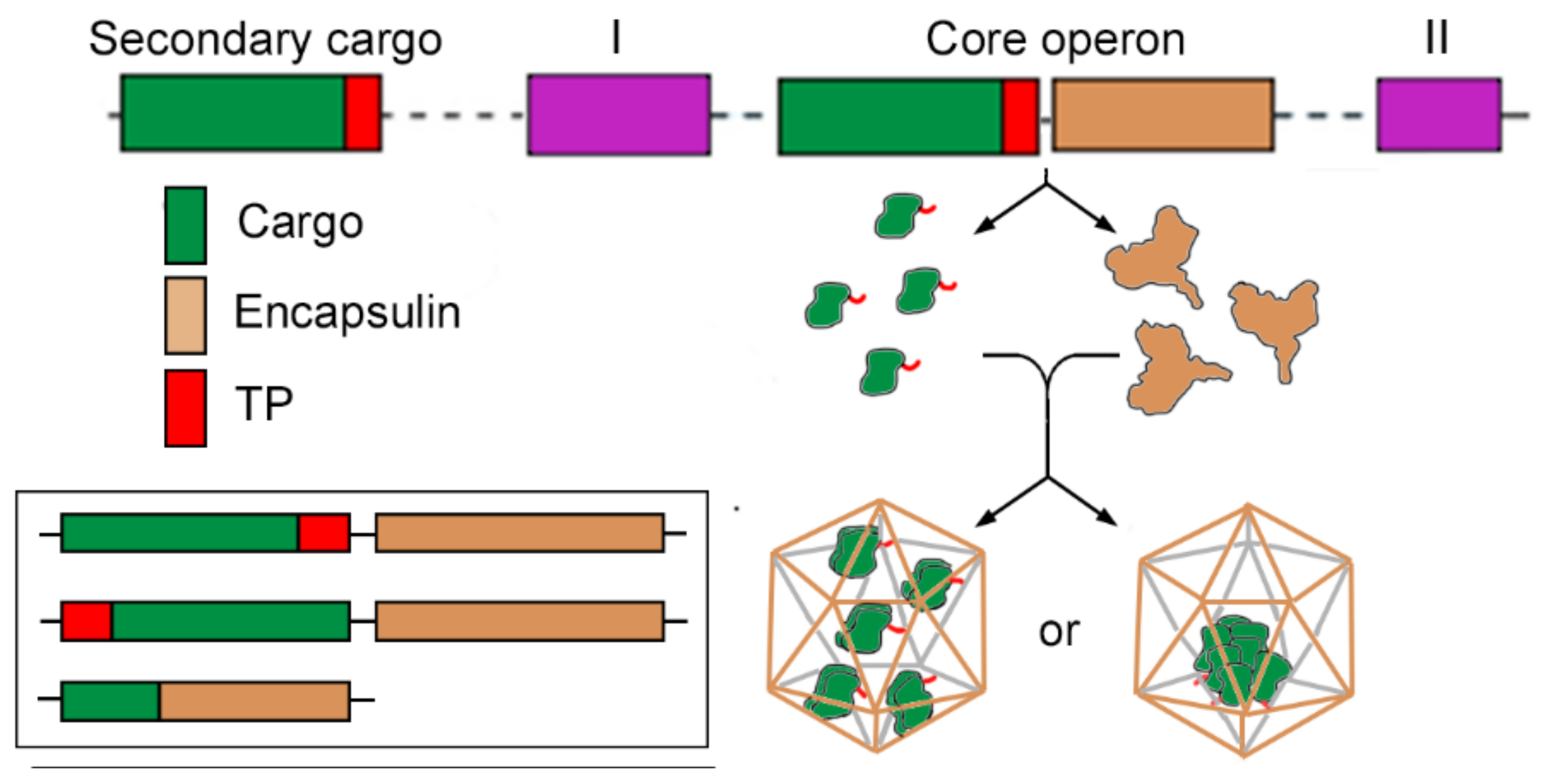 Nanomaterials 11 01467 g001