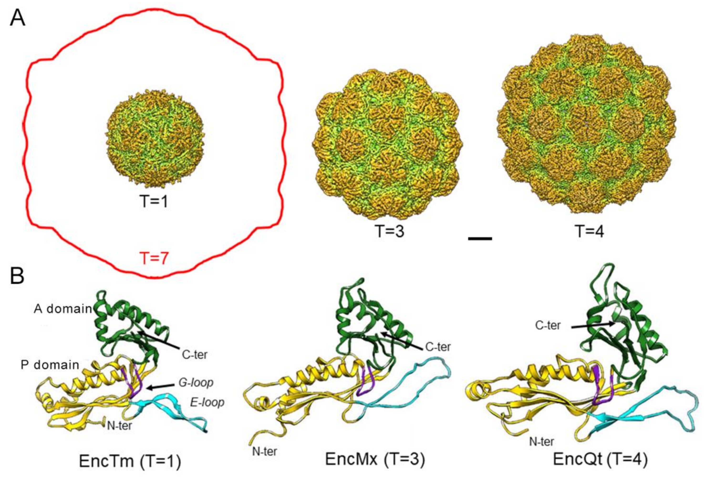 Nanomaterials 11 01467 g002