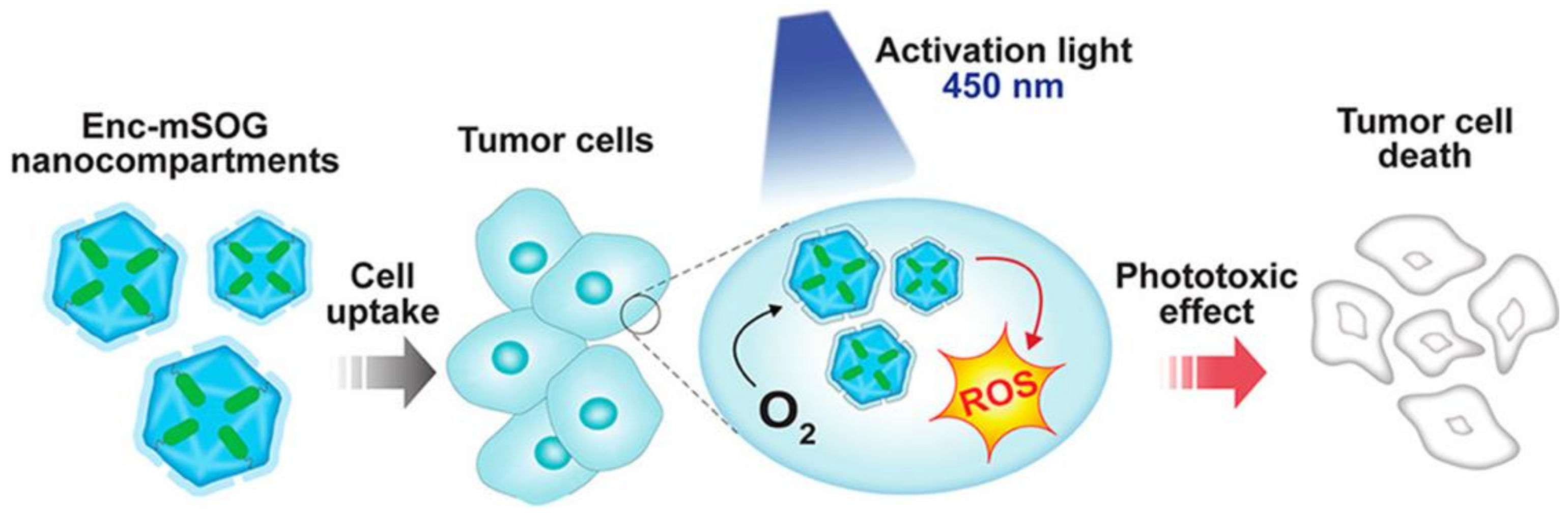 Nanomaterials 11 01467 g004