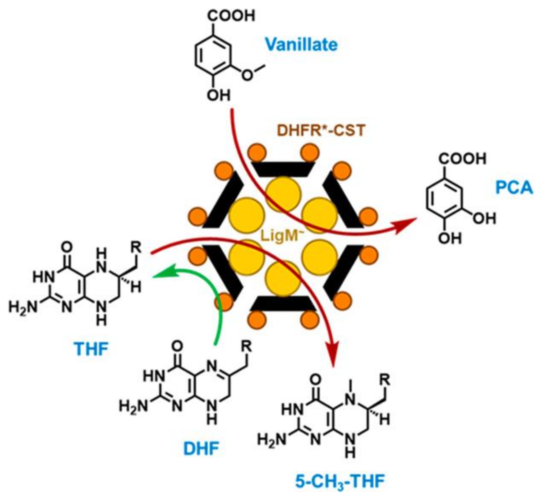 Nanomaterials 11 01467 g005