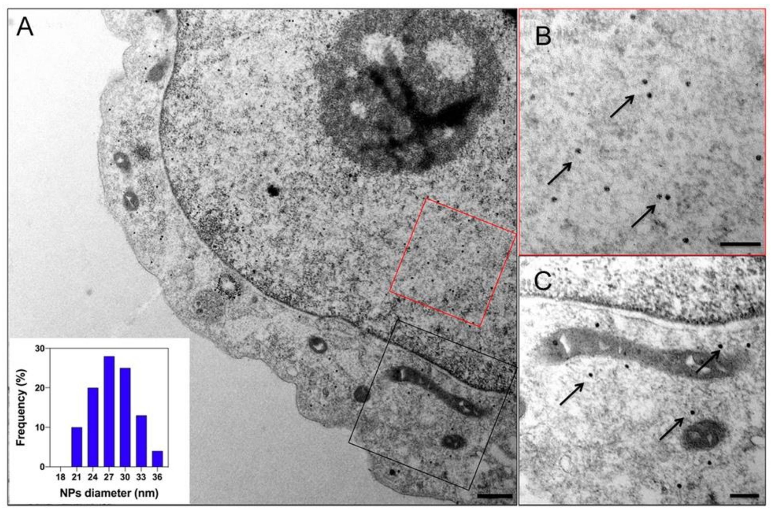 Nanomaterials 11 01467 g006