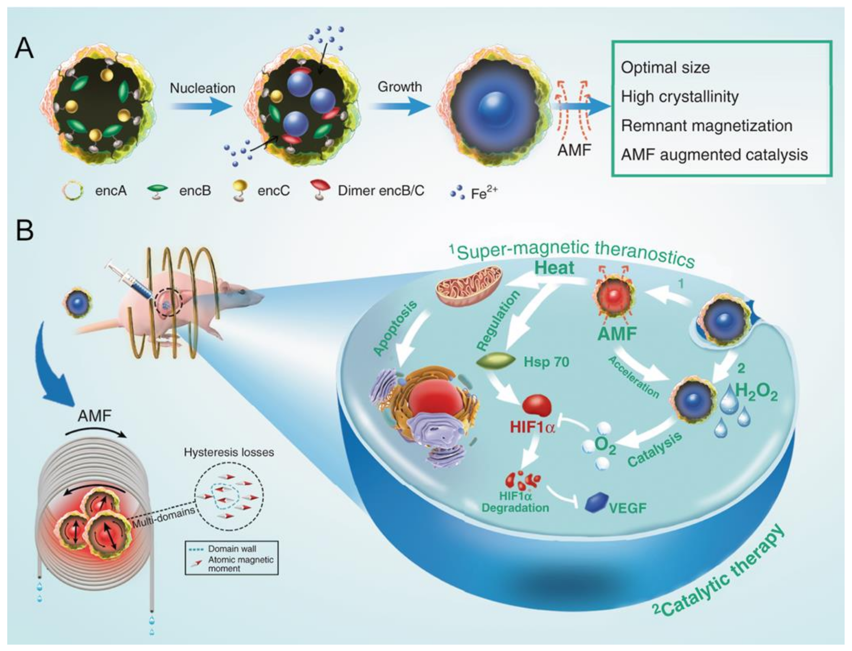 Nanomaterials 11 01467 g007