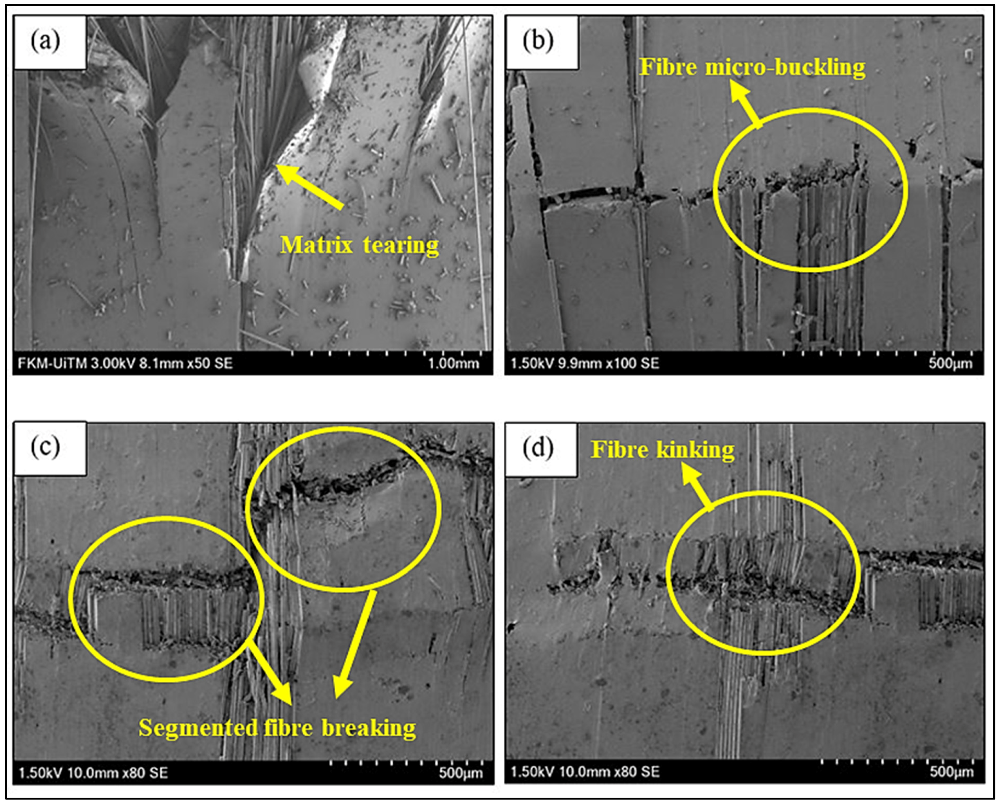 Nanomaterials 11 01468 g006