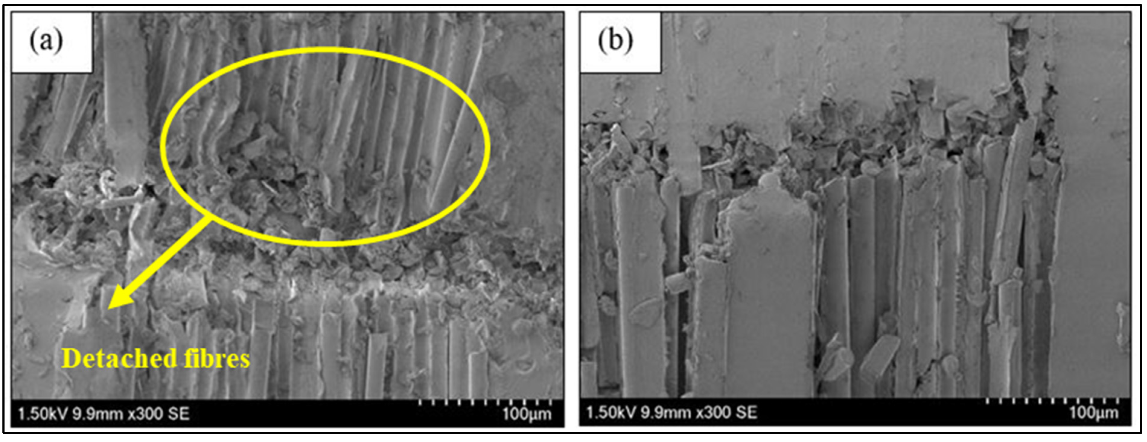 Nanomaterials 11 01468 g007
