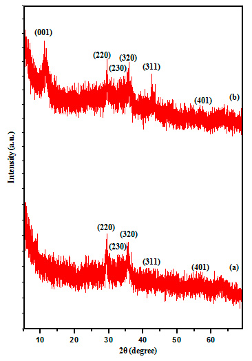 Nanomaterials 11 01471 g001